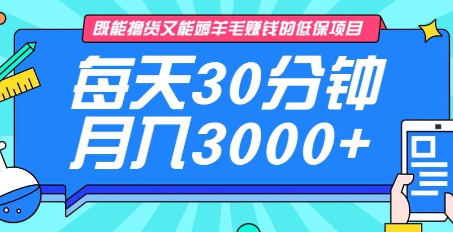 既能撸货又能赚钱的长期低保项目，每天30分钟，多号百分百稳定月入3000+！