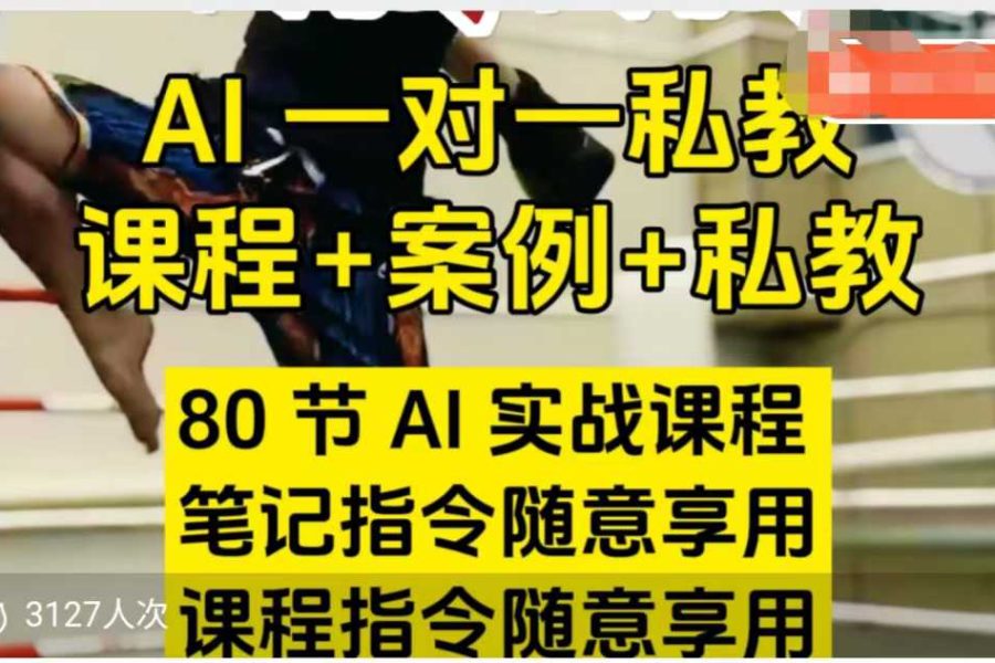 AI指令实战课，课程+案例，80节AI实战课程，笔记指令随意享用，课程指令随意享用(更新7月)