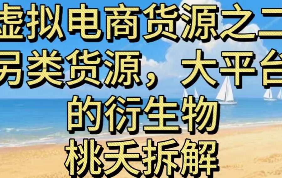虚拟电商之二—另类的货源，大平台的衍生物