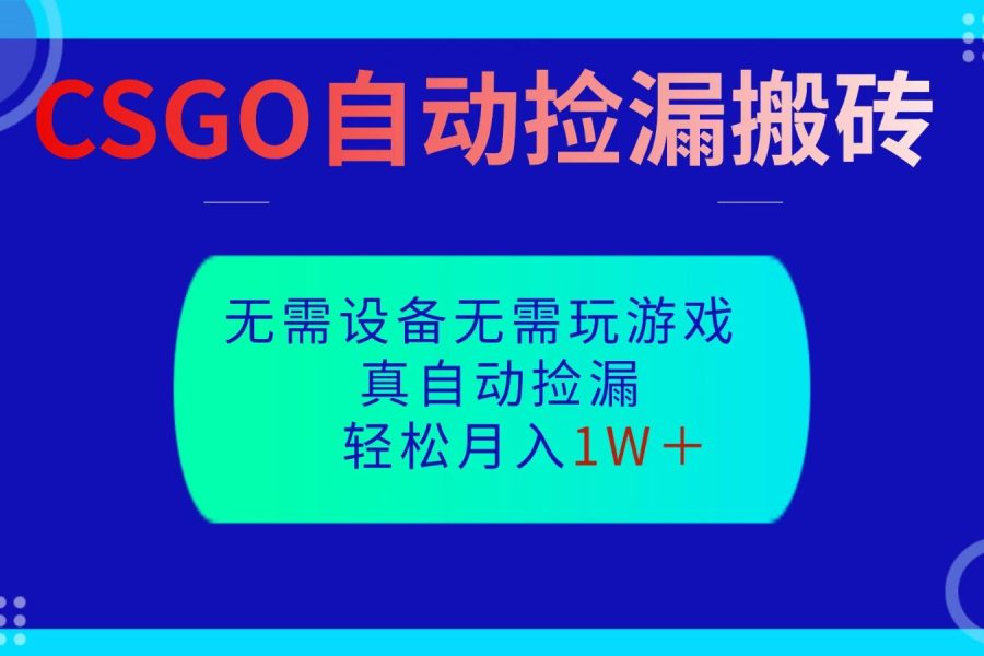 CSGO自动捡漏搬砖，当天操作当天见结果，无需了解游戏，包教包会包落地